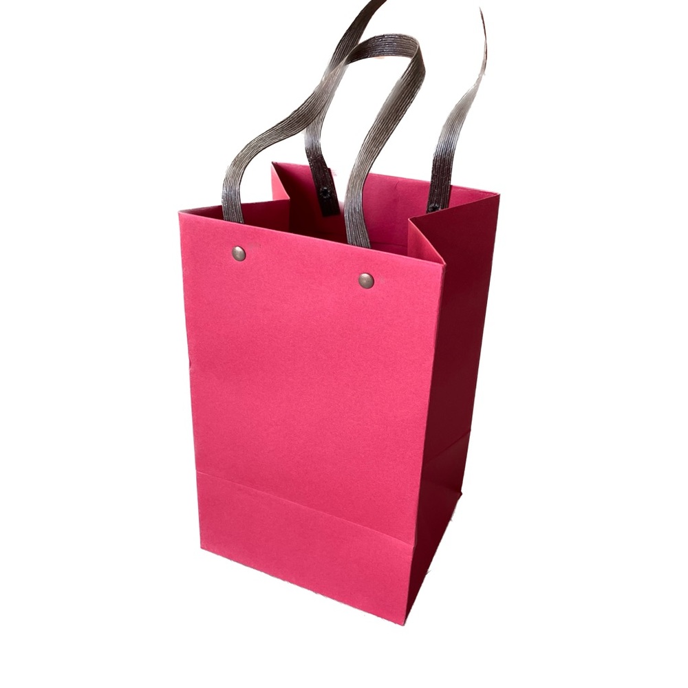 25 pieces Heavy Duty Kraft Paper Bags